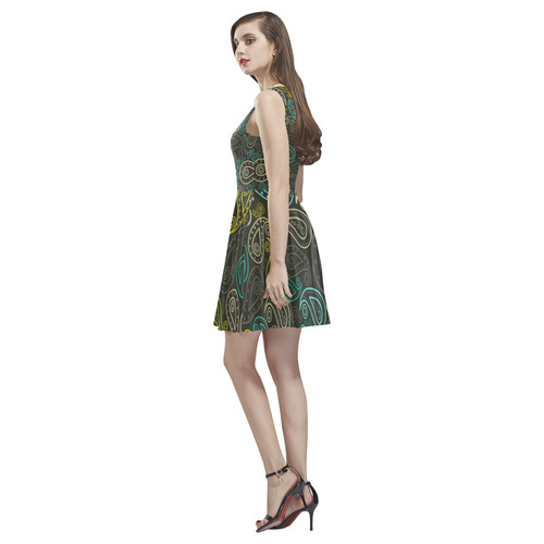 paisley art Thea Sleeveless Skater Dress(Model D19)