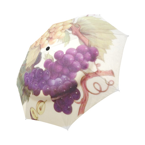 Purple Grapes Butterflies Vintage Floral Auto-Foldable Umbrella (Model U04)