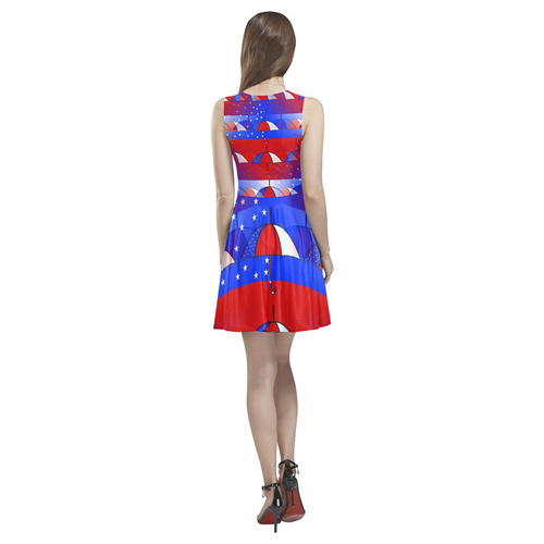 USA Umbrella Pop by Popart Lover Thea Sleeveless Skater Dress(Model D19)