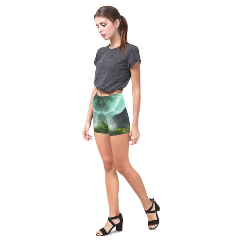 Sleeping wolf in the night Briseis Skinny Shorts (Model L04)