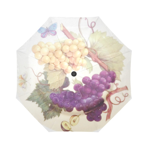 Purple Grapes Butterflies Vintage Floral Auto-Foldable Umbrella (Model U04)