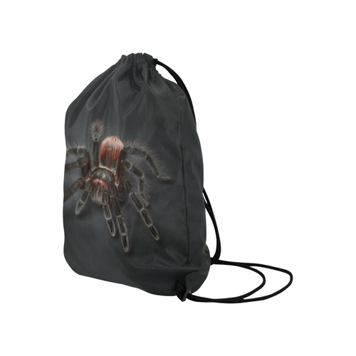 Tarantel Spider Painting Large Drawstring Bag Model 1604 (Twin Sides)  16.5"(W) * 19.3"(H)