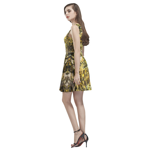 Golden stone texture Thea Sleeveless Skater Dress(Model D19)
