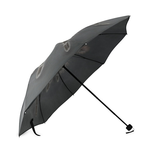 Tarantel - Tarantula Spider Painting Foldable Umbrella (Model U01)