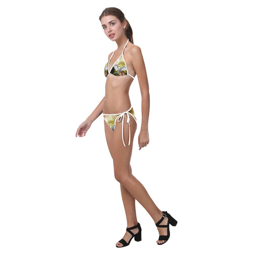 Fairy with lion Custom Bikini Swimsuit (Model S01)