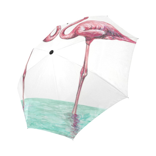 hidden umbrella in flamingo pictures