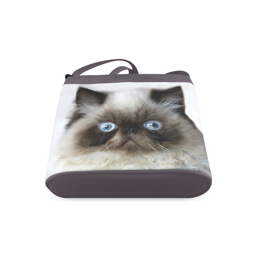 Funny Cat Crossbody Bags (Model 1613)