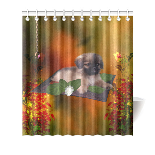 Cute lttle pekinese, dog Shower Curtain 66"x72"