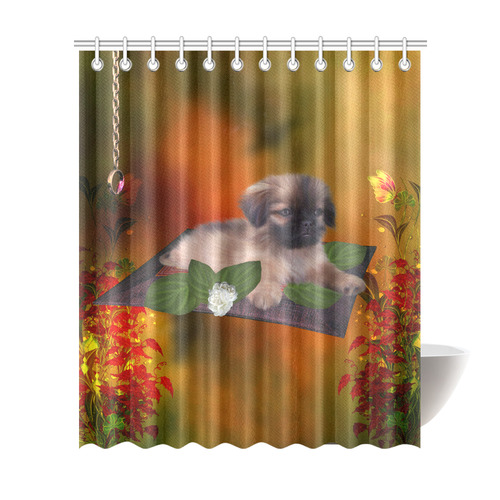 Cute lttle pekinese, dog Shower Curtain 72"x84"