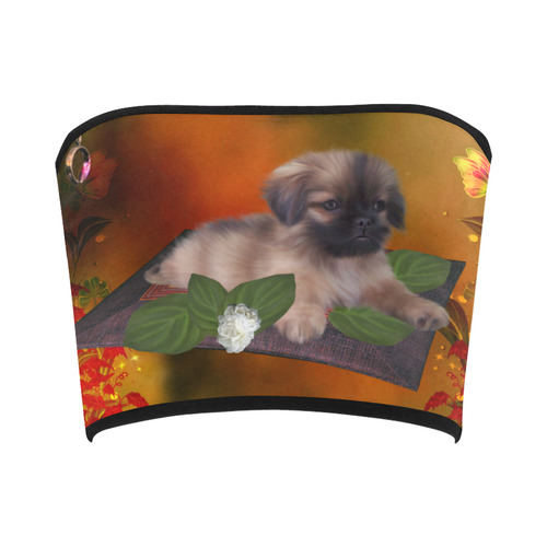 Cute lttle pekinese, dog Bandeau Top