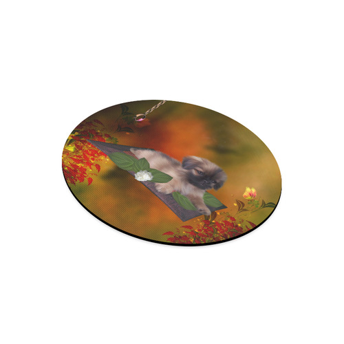 Cute lttle pekinese, dog Round Mousepad