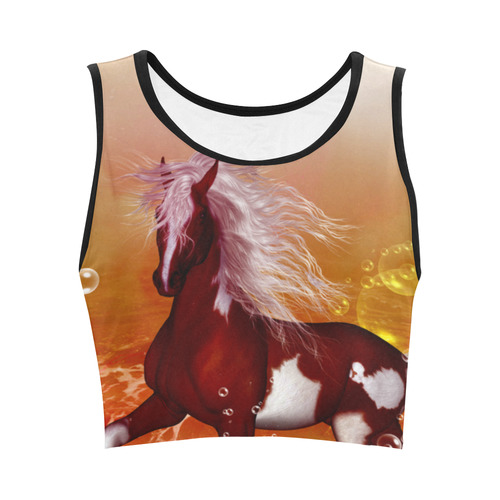 The wild horse Women's Crop Top (Model T42)