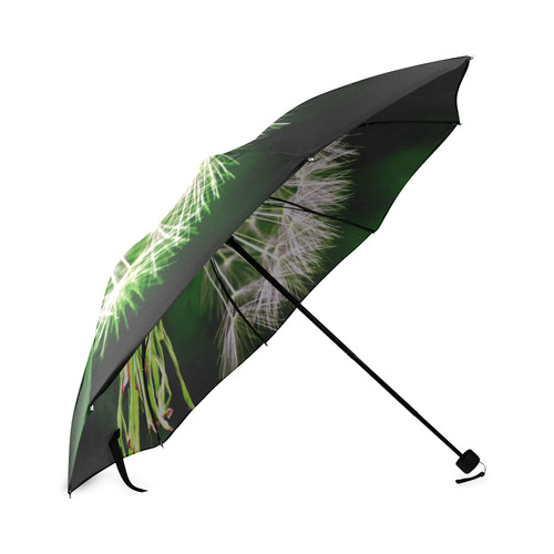 Dandelion Flower Floral Nature Art Foldable Umbrella (Model U01)