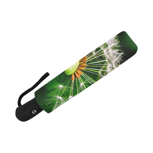 Dandelion Flower Floral Nature Art Auto-Foldable Umbrella (Model U04)