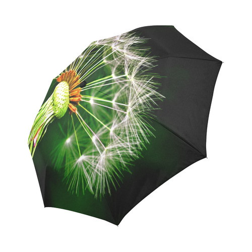 Dandelion Flower Floral Nature Art Auto-Foldable Umbrella (Model U04)