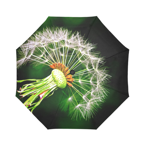 Dandelion Flower Floral Nature Art Auto-Foldable Umbrella (Model U04)