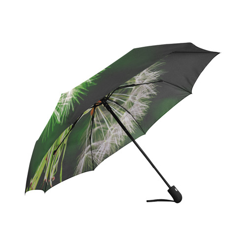 Dandelion Flower Floral Nature Art Auto-Foldable Umbrella (Model U04)