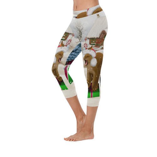 Christmas cute little lion with christmas hat Women's Low Rise Capri Leggings (Invisible Stitch) (Model L08)