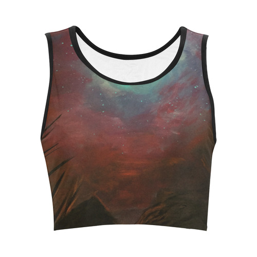 Spacious Sky Women's Crop Top (Model T42)