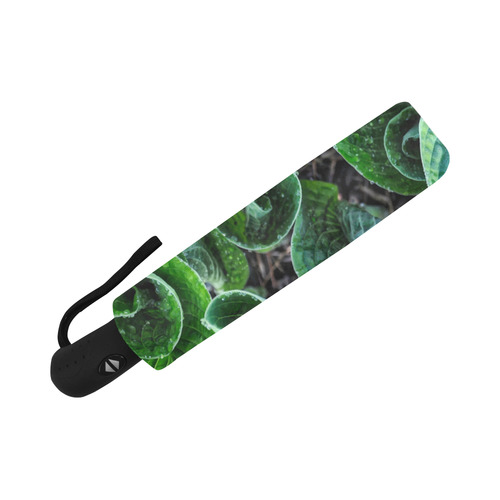 Green Leaves Floral Nature Pattern Auto-Foldable Umbrella (Model U04)