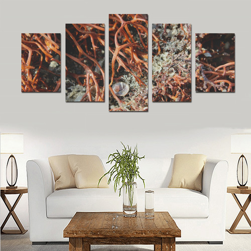 Sea Weed Canvas set by Martina Webster Canvas Print Sets D (No Frame)