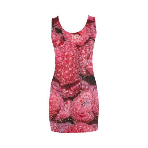 Red Fresh Raspberry Yummy Summer Berries Medea Vest Dress (Model D06)