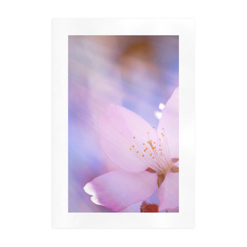 Sakura Cherry Blossom Spring Heaven Light Pink Art Print 19‘’x28‘’