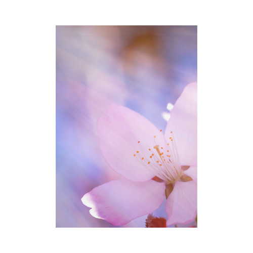 Sakura Cherry Blossom Spring Heaven Light Pink Garden Flag 28''x40'' （Without Flagpole）