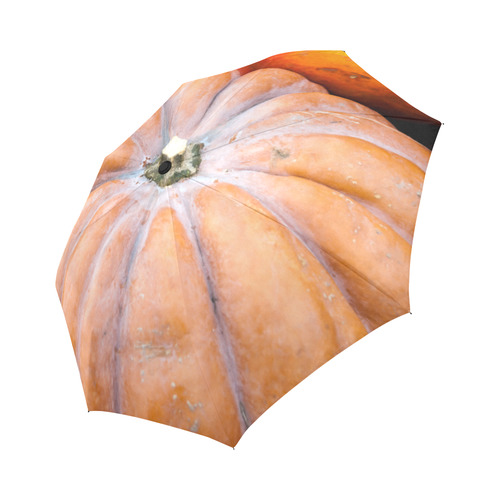 Pumpkin Halloween Thanksgiving Crop Holiday Fall Auto-Foldable Umbrella (Model U04)