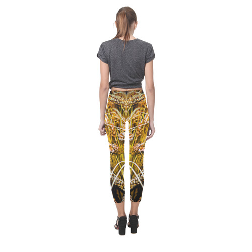 Grain Wheat wheatear Autumn Crop Thanksgiving Capri Legging (Model L02)