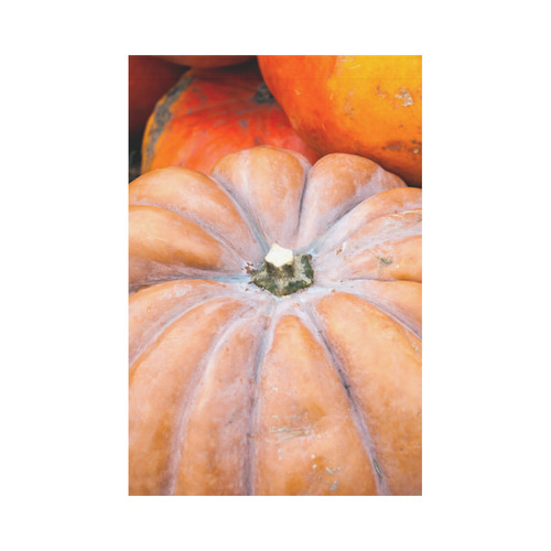 Pumpkin Halloween Thanksgiving Crop Holiday Fall Garden Flag 12‘’x18‘’（Without Flagpole）