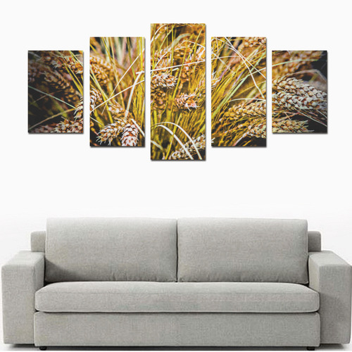 Grain Wheat wheatear Autumn Crop Thanksgiving Canvas Print Sets D (No Frame)