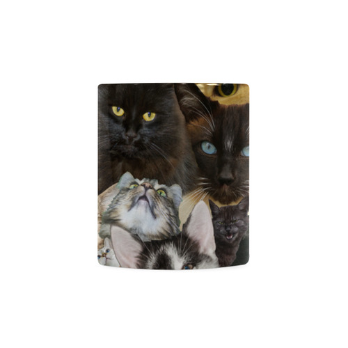 Crazy Kitten Show White Mug(11OZ)