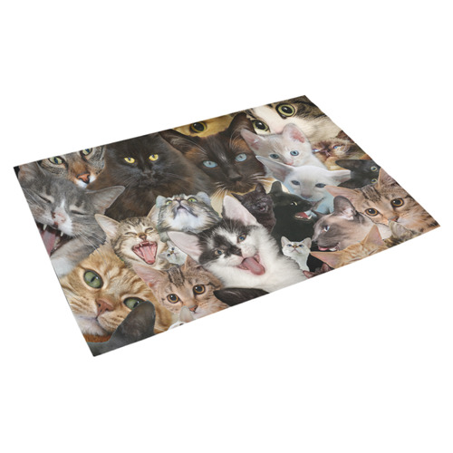 Crazy Kitten Show Azalea Doormat 30" x 18" (Sponge Material)