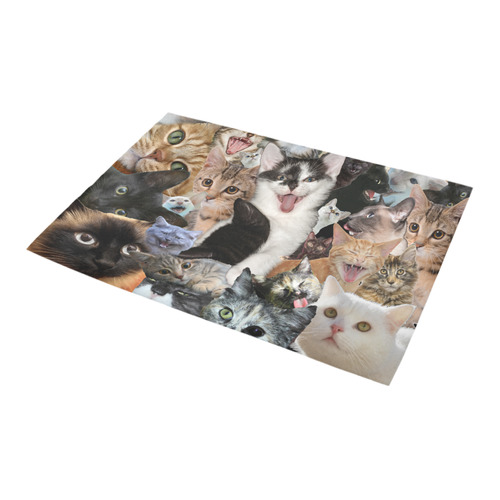 Crazy Kitten Show Azalea Doormat 24" x 16" (Sponge Material)