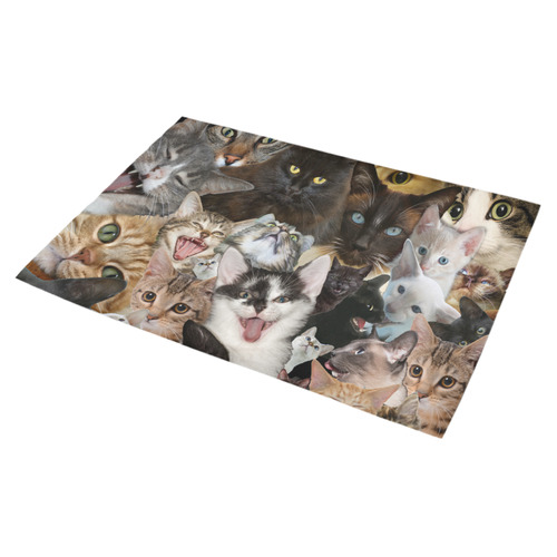 Crazy Kitten Show Azalea Doormat 30" x 18" (Sponge Material)