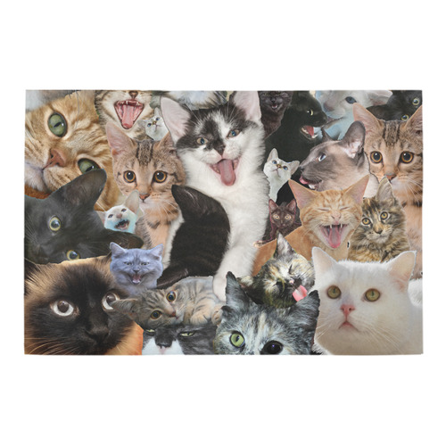 Crazy Kitten Show Azalea Doormat 24" x 16" (Sponge Material)