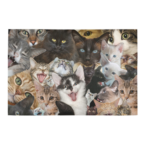 Crazy Kitten Show Azalea Doormat 24" x 16" (Sponge Material)