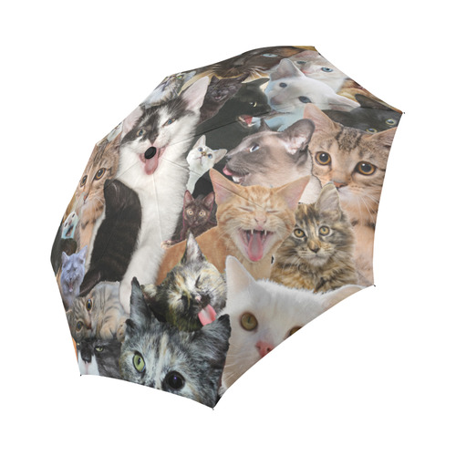 Crazy Kitten Show Auto-Foldable Umbrella (Model U04)