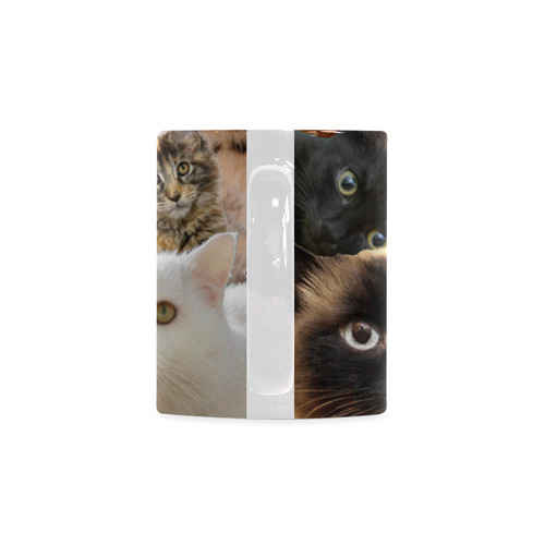 Crazy Kitten Show White Mug(11OZ)