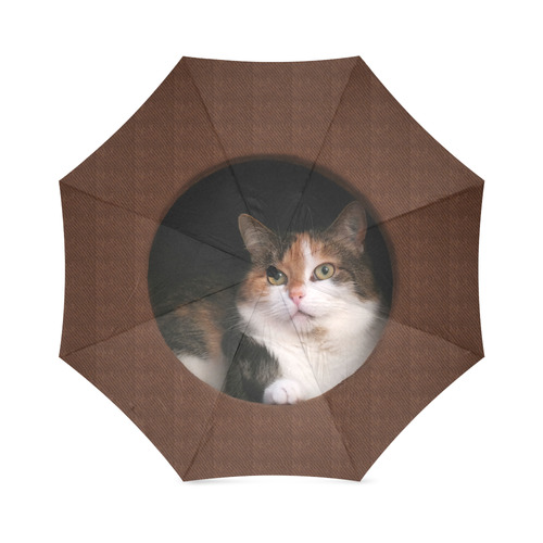 The Kitty In The Hole Foldable Umbrella (Model U01)