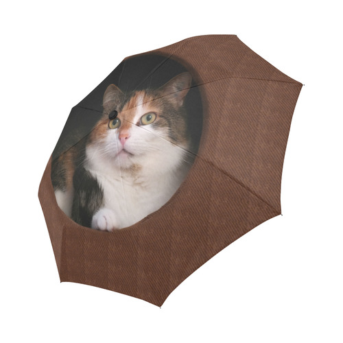 The Kitty In The Hole Auto-Foldable Umbrella (Model U04)