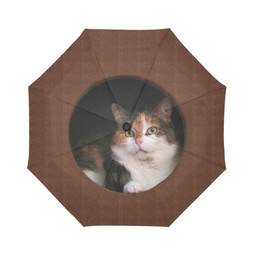 The Kitty In The Hole Auto-Foldable Umbrella (Model U04)