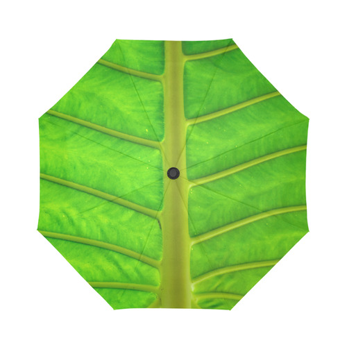 Palm Print Auto-Foldable Umbrella (Model U04)
