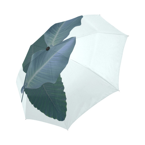 Palm Breeze Auto-Foldable Umbrella (Model U04)