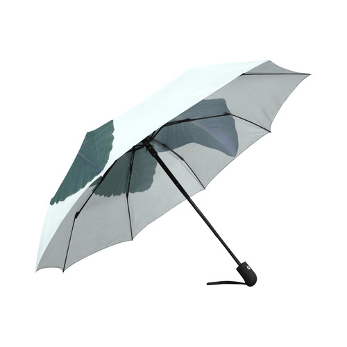 Palm Breeze Auto-Foldable Umbrella (Model U04)