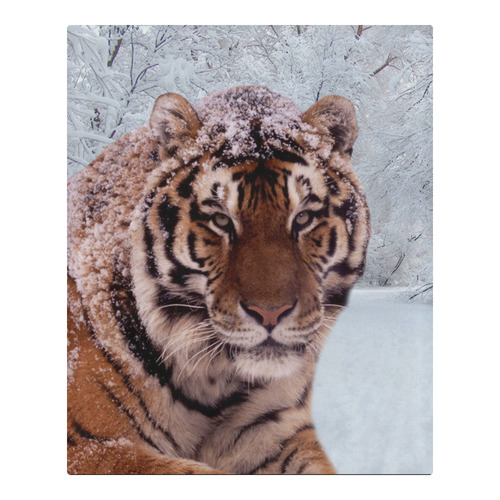 Tiger and Snow 3-Piece Bedding Set