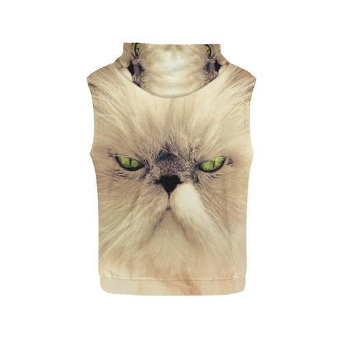 Angy Cat All Over Print Sleeveless Hoodie for Men (Model H15) | ID: D2041265