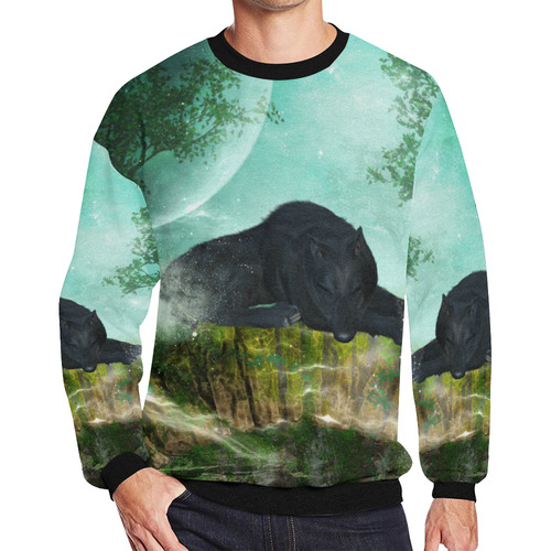 Sleeping wolf in the night