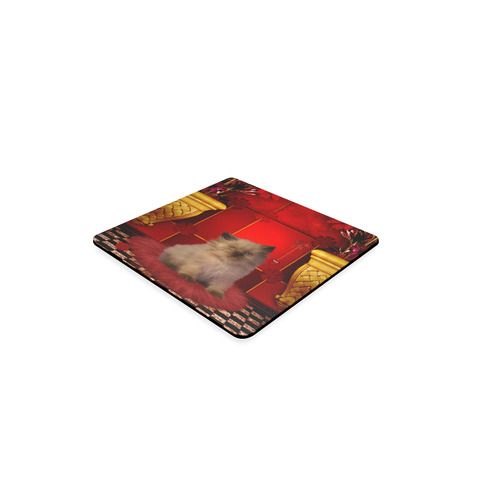 Cute little kitten Square Coaster